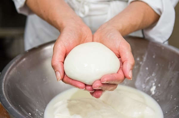 What is Mozzarella? Mozzarella Cheese And Things To Know